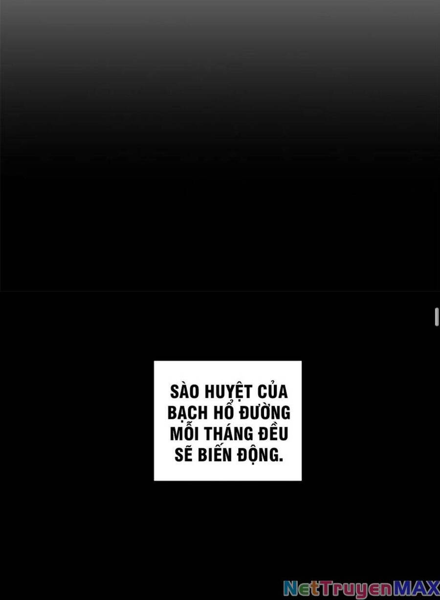Tuyệt Sắc Đạo Lữ Đều Nói Ngô Hoàng Thể Chất Vô Địch Chap 53 - Next Chap 54