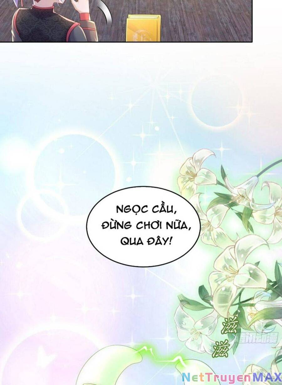 Tuyệt Sắc Đạo Lữ Đều Nói Ngô Hoàng Thể Chất Vô Địch Chap 54 - Next Chap 55