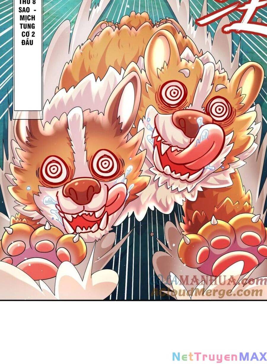 Tuyệt Sắc Đạo Lữ Đều Nói Ngô Hoàng Thể Chất Vô Địch Chap 58 - Next Chap 59