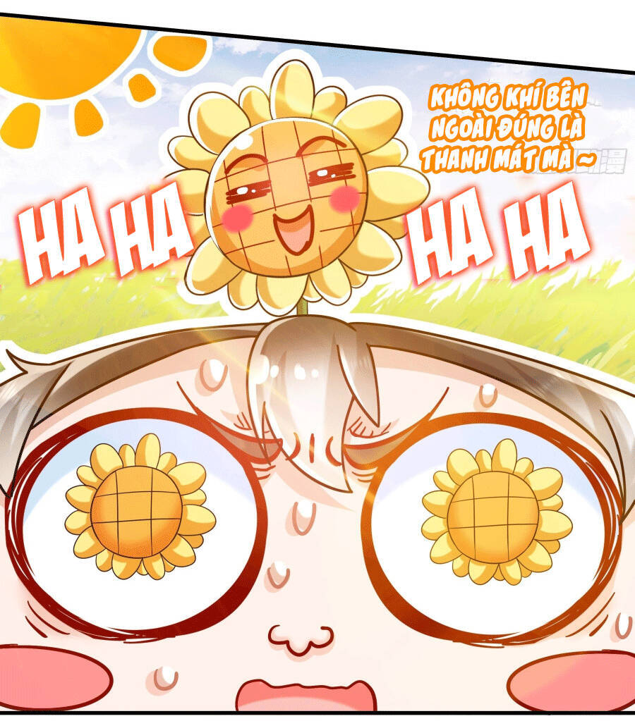 Tuyệt Sắc Đạo Lữ Đều Nói Ngô Hoàng Thể Chất Vô Địch Chap 6 - Next Chap 7