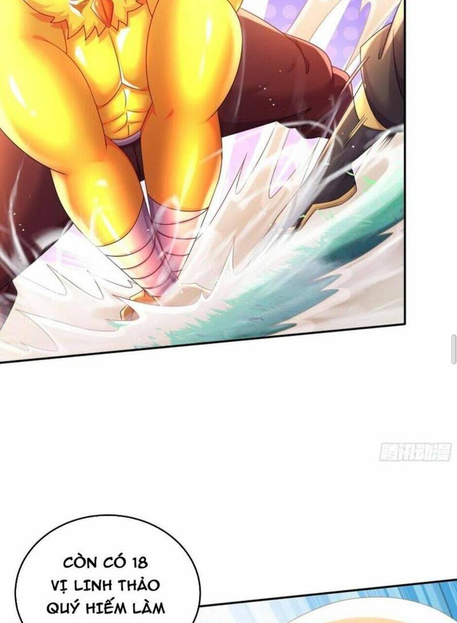 Tuyệt Sắc Đạo Lữ Đều Nói Ngô Hoàng Thể Chất Vô Địch Chap 62 - Next Chap 63