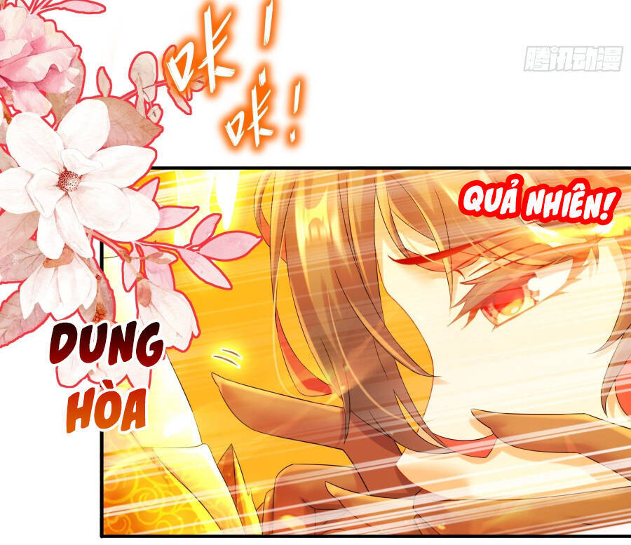 Tuyệt Sắc Đạo Lữ Đều Nói Ngô Hoàng Thể Chất Vô Địch Chap 7 - Next Chap 8