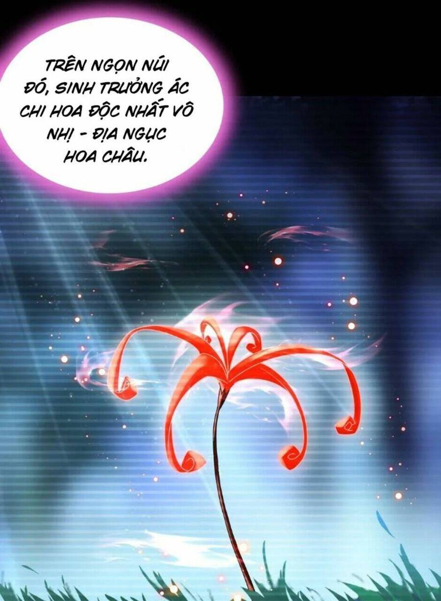 Tuyệt Sắc Đạo Lữ Đều Nói Ngô Hoàng Thể Chất Vô Địch Chap 72 - Next Chap 73