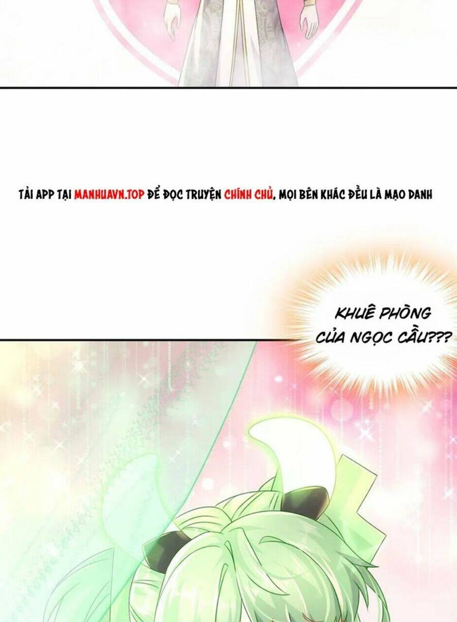 Tuyệt Sắc Đạo Lữ Đều Nói Ngô Hoàng Thể Chất Vô Địch Chap 82 - Next Chap 83