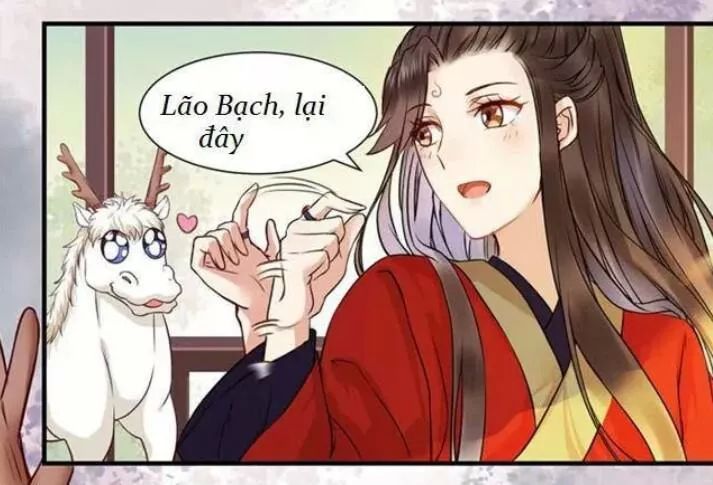 Tuyệt Sắc Quyến Rũ: Quỷ Y Chí Tôn Chap 128 - Next Chap 129