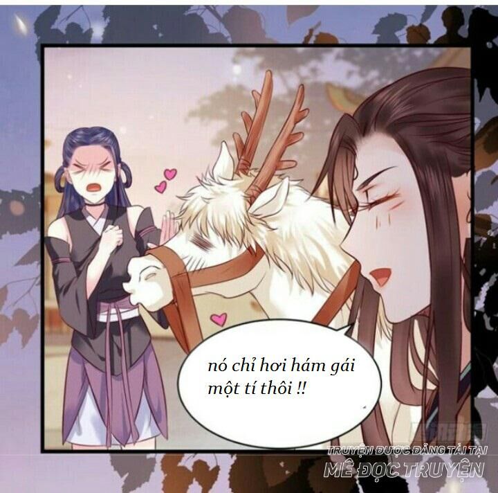 Tuyệt Sắc Quyến Rũ: Quỷ Y Chí Tôn Chap 136 - Next Chap 137