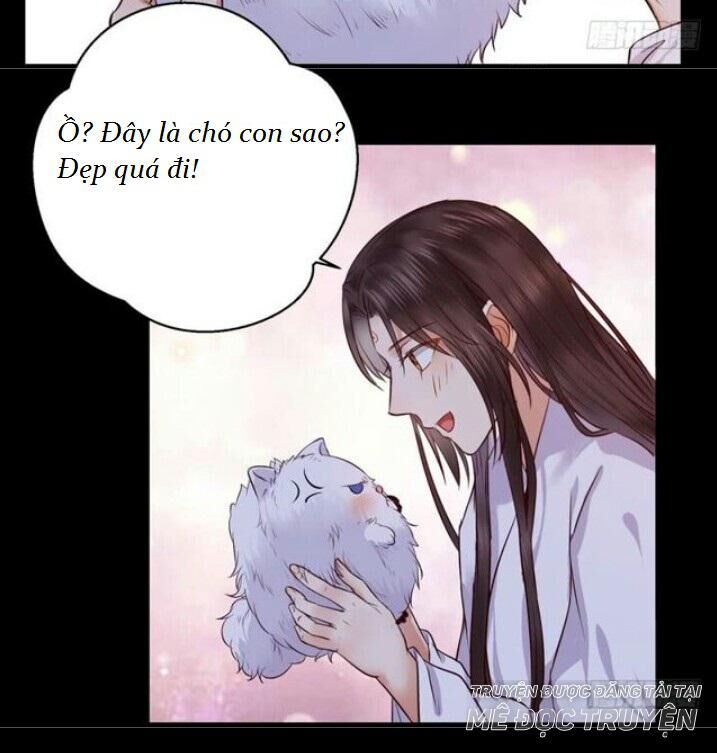 Tuyệt Sắc Quyến Rũ: Quỷ Y Chí Tôn Chap 137 - Next Chap 138