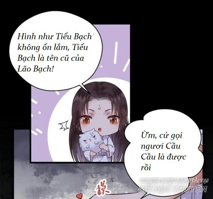 Tuyệt Sắc Quyến Rũ: Quỷ Y Chí Tôn Chap 137 - Next Chap 138