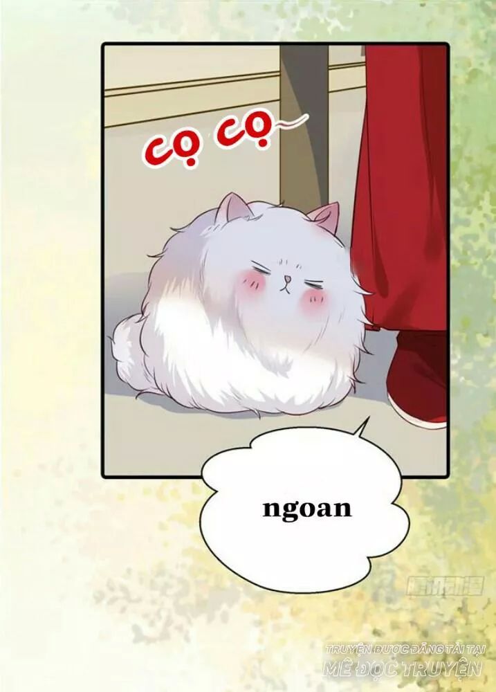 Tuyệt Sắc Quyến Rũ: Quỷ Y Chí Tôn Chap 1381 - Next Chap 1382