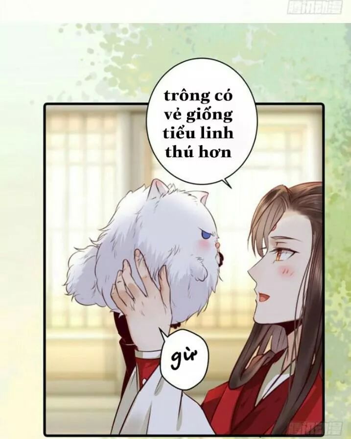 Tuyệt Sắc Quyến Rũ: Quỷ Y Chí Tôn Chap 1381 - Next Chap 1382