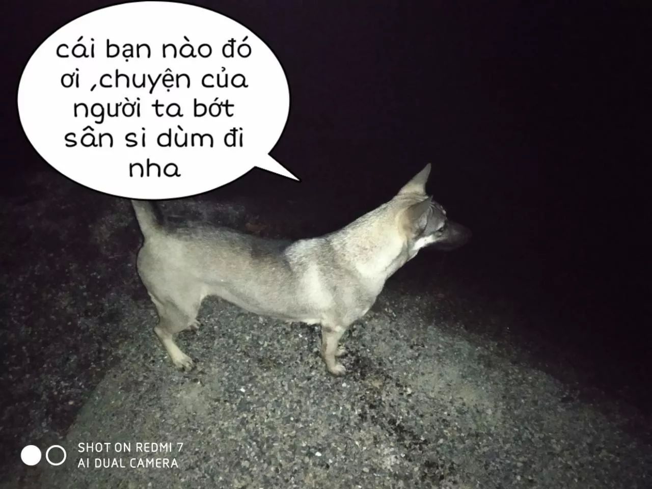 Tuyệt Sắc Quyến Rũ: Quỷ Y Chí Tôn Chap 152 - Next Chap 153