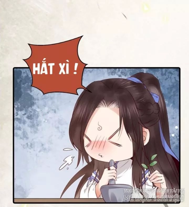 Tuyệt Sắc Quyến Rũ: Quỷ Y Chí Tôn Chap 162 - Next Chap 163