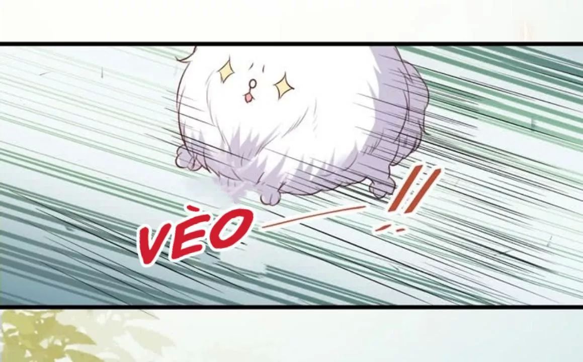 Tuyệt Sắc Quyến Rũ: Quỷ Y Chí Tôn Chap 163 - Next Chap 164