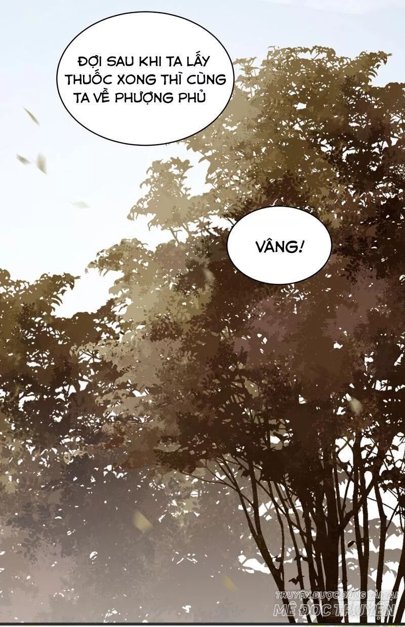 Tuyệt Sắc Quyến Rũ: Quỷ Y Chí Tôn Chap 170 - Next Chap 171