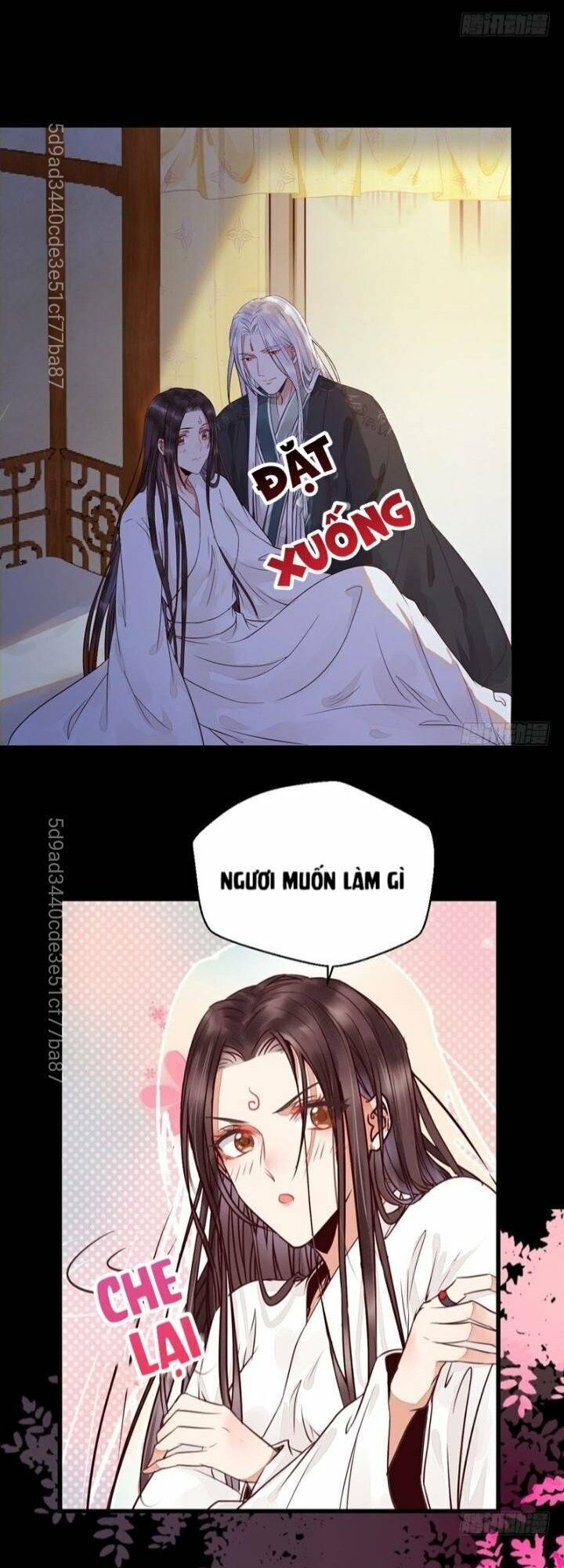 Tuyệt Sắc Quyến Rũ: Quỷ Y Chí Tôn Chap 207 - Next Chap 208