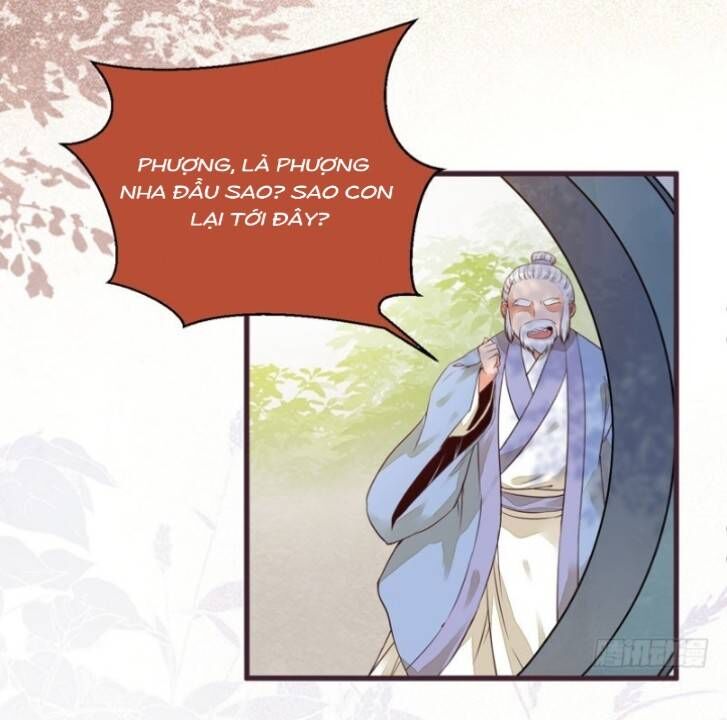 Tuyệt Sắc Quyến Rũ: Quỷ Y Chí Tôn Chap 214 - Next Chap 215