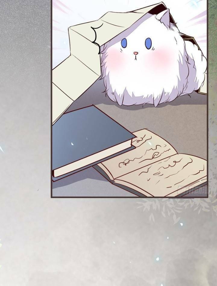 Tuyệt Sắc Quyến Rũ: Quỷ Y Chí Tôn Chap 231 - Next Chap 232