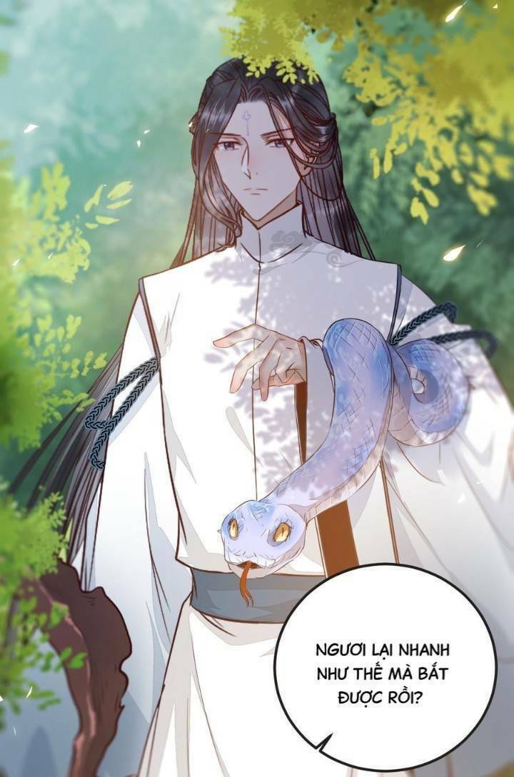Tuyệt Sắc Quyến Rũ: Quỷ Y Chí Tôn Chap 243 - Next Chap 244