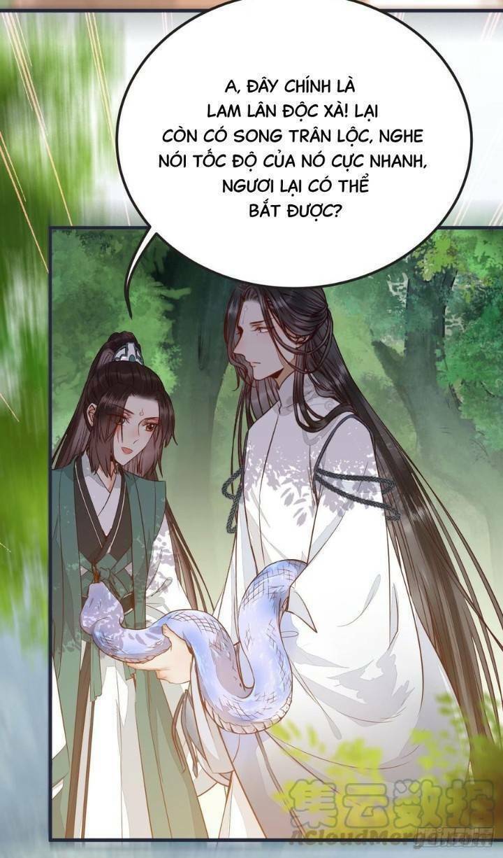 Tuyệt Sắc Quyến Rũ: Quỷ Y Chí Tôn Chap 243 - Next Chap 244