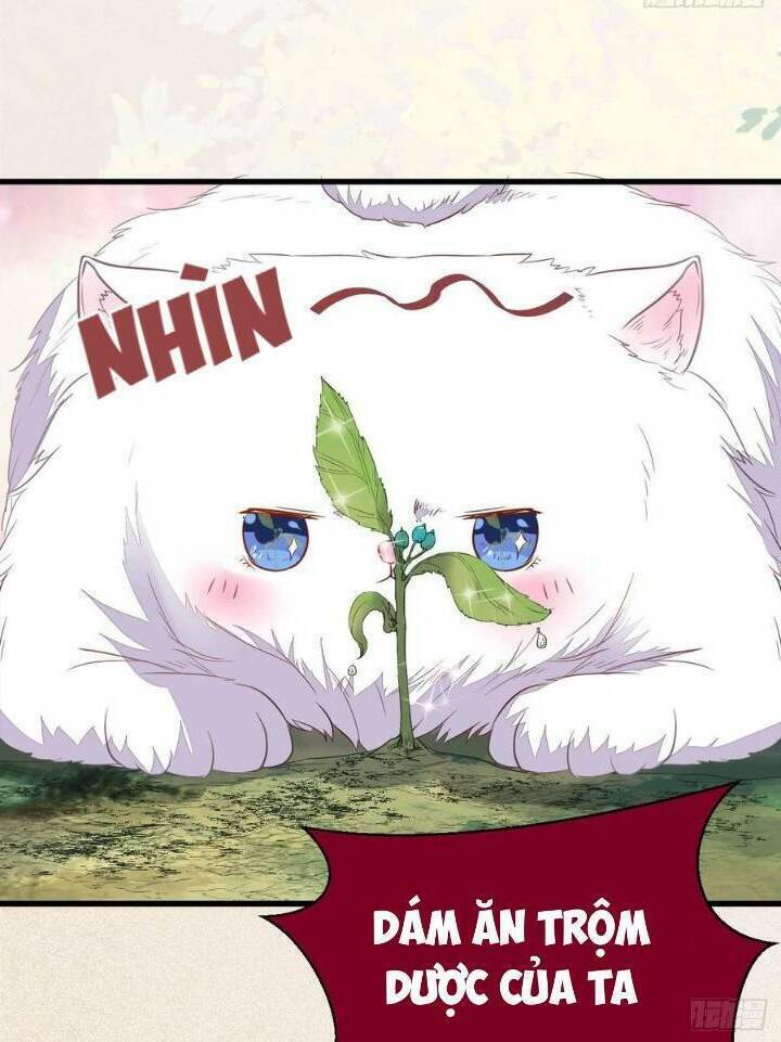 Tuyệt Sắc Quyến Rũ: Quỷ Y Chí Tôn Chap 253 - Next Chap 254