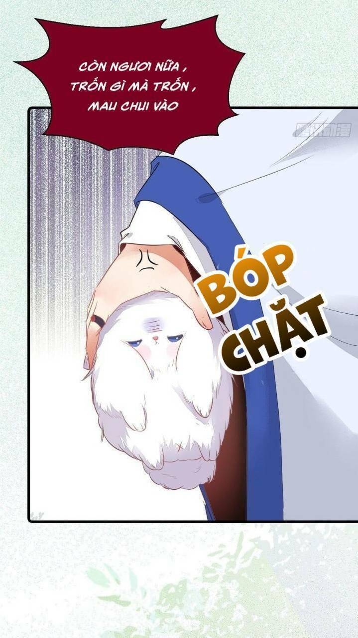 Tuyệt Sắc Quyến Rũ: Quỷ Y Chí Tôn Chap 260 - Next Chap 261