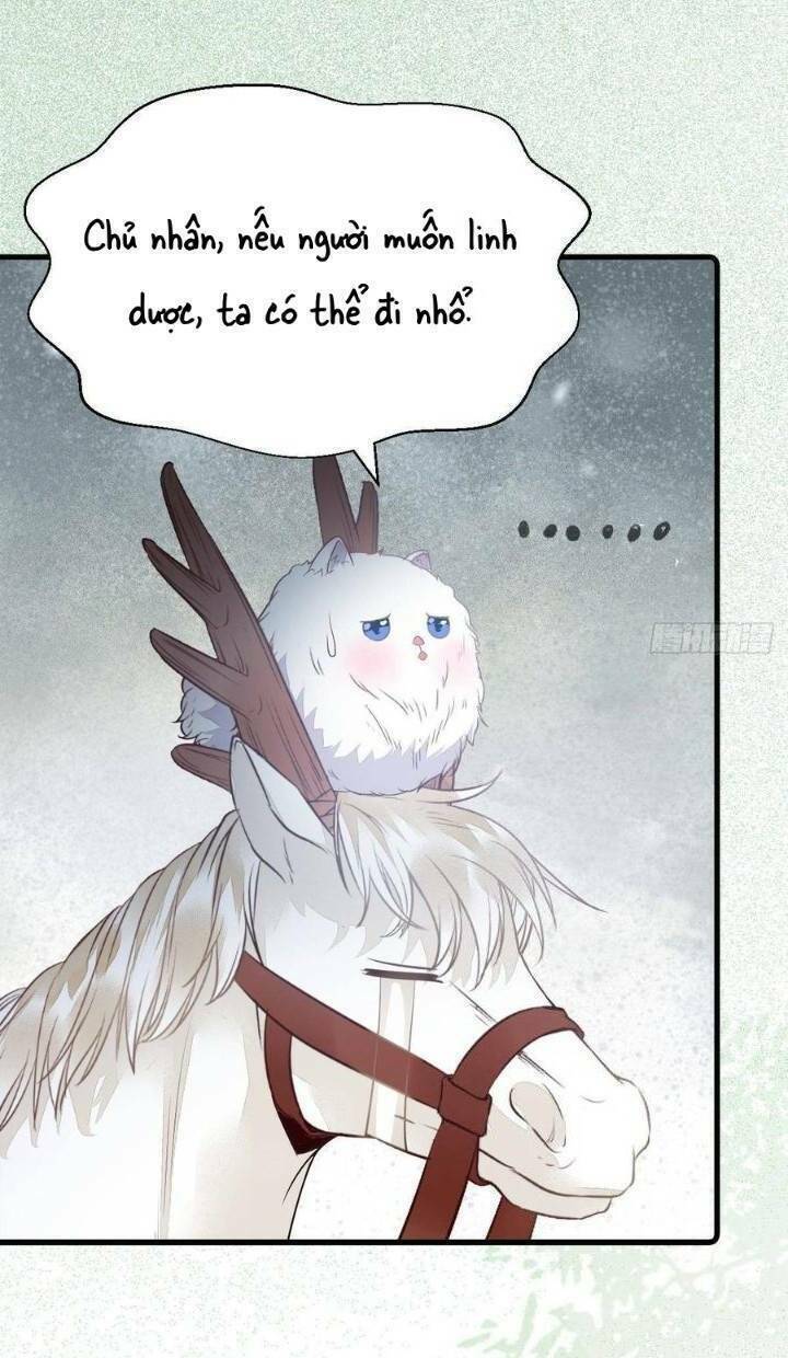 Tuyệt Sắc Quyến Rũ: Quỷ Y Chí Tôn Chap 260 - Next Chap 261
