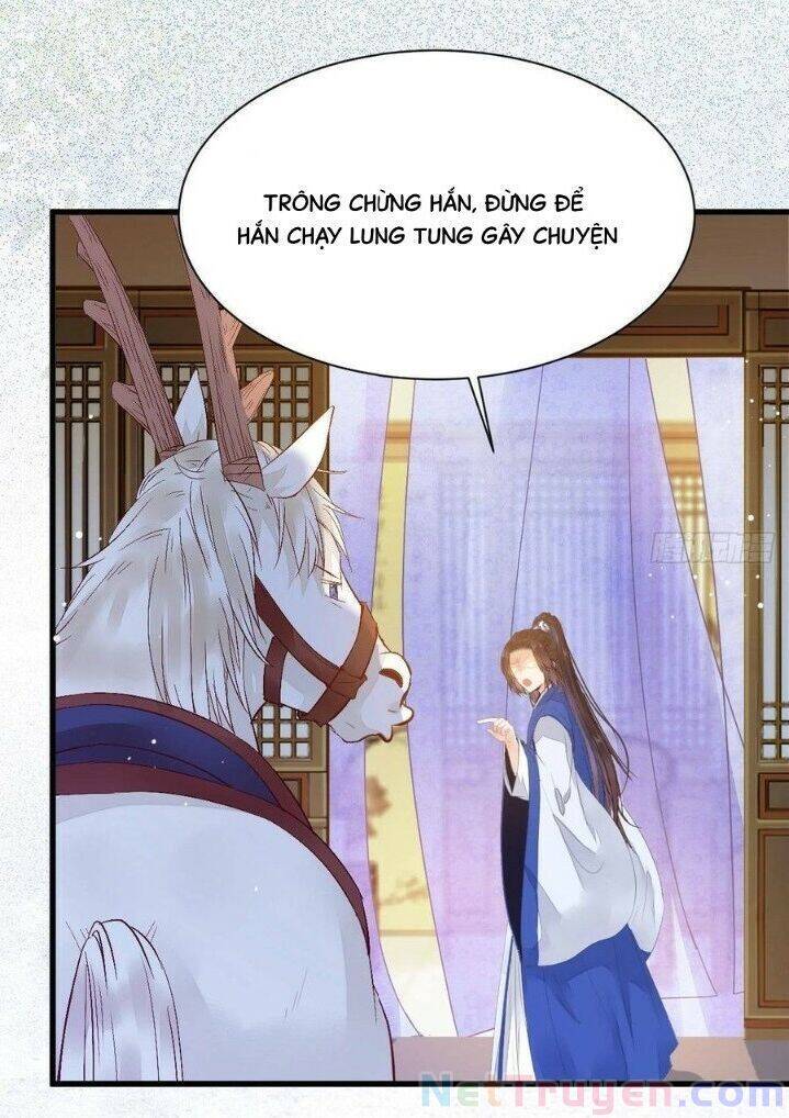 Tuyệt Sắc Quyến Rũ: Quỷ Y Chí Tôn Chap 263 - Next Chap 264