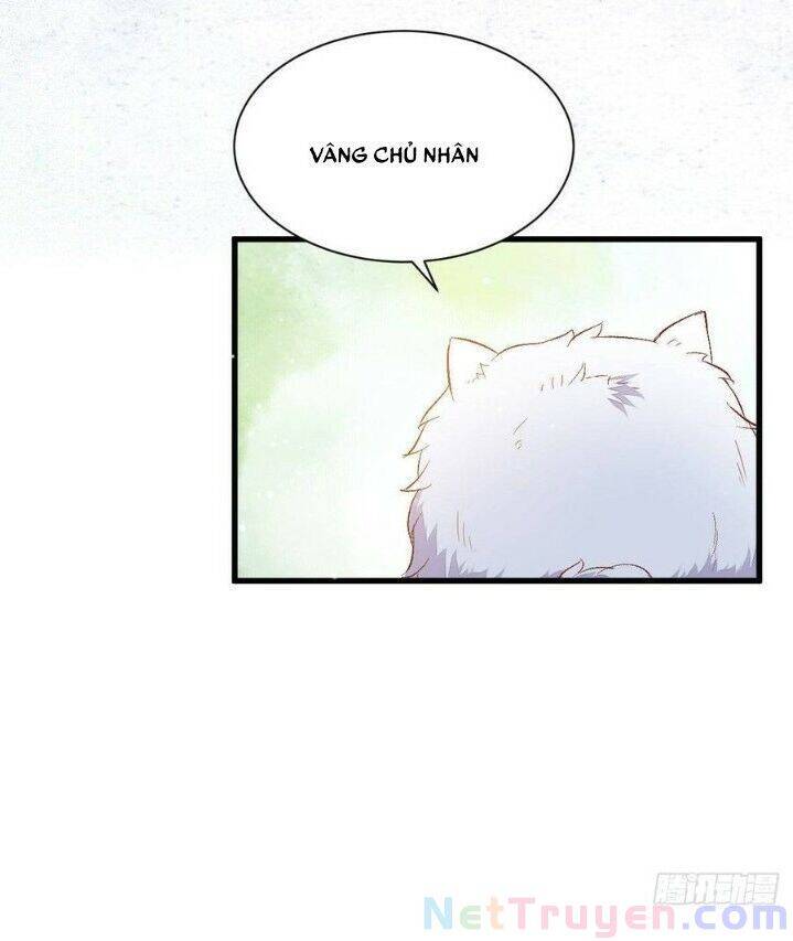 Tuyệt Sắc Quyến Rũ: Quỷ Y Chí Tôn Chap 263 - Next Chap 264