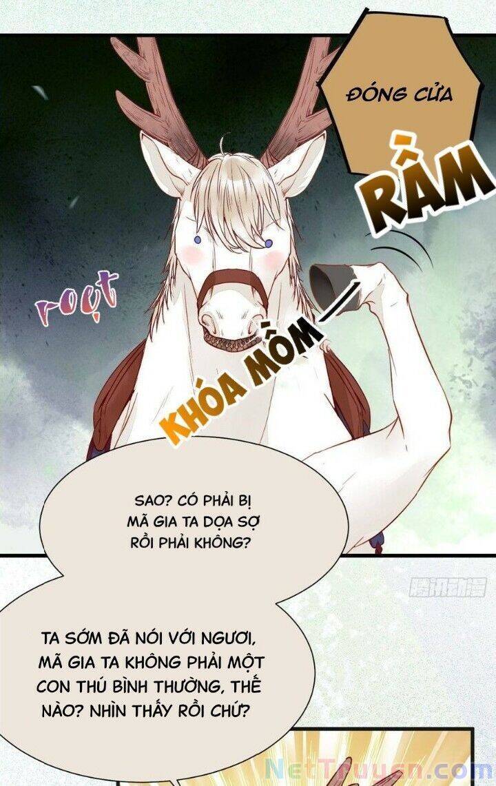 Tuyệt Sắc Quyến Rũ: Quỷ Y Chí Tôn Chap 263 - Next Chap 264