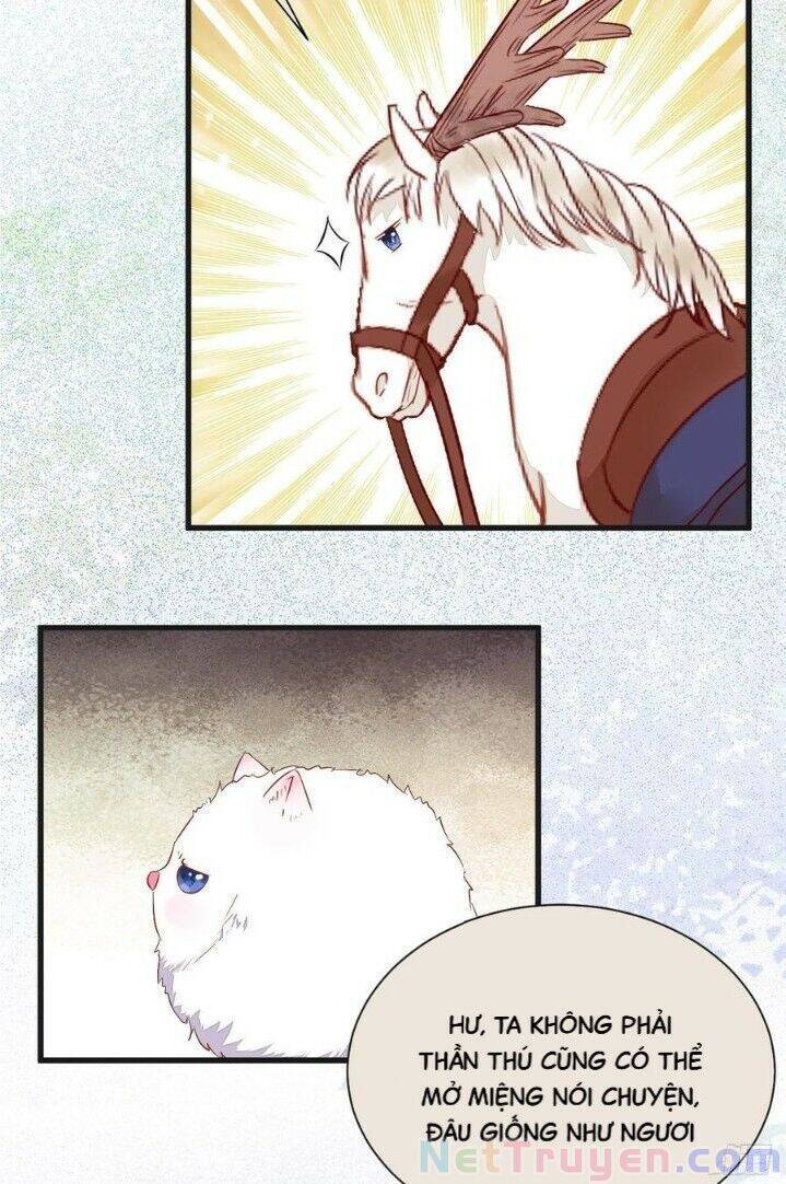 Tuyệt Sắc Quyến Rũ: Quỷ Y Chí Tôn Chap 263 - Next Chap 264
