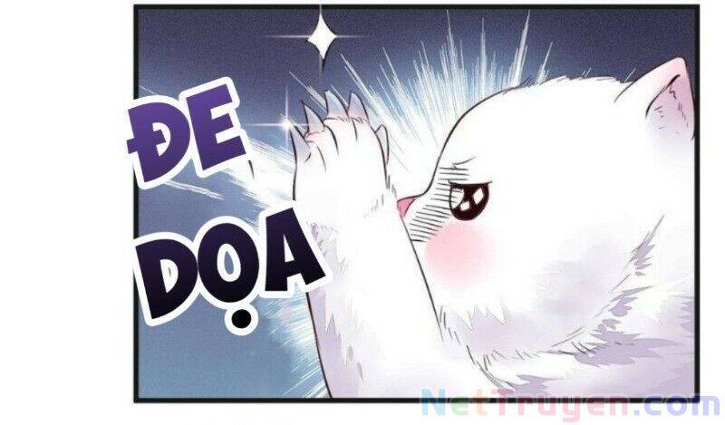 Tuyệt Sắc Quyến Rũ: Quỷ Y Chí Tôn Chap 263 - Next Chap 264
