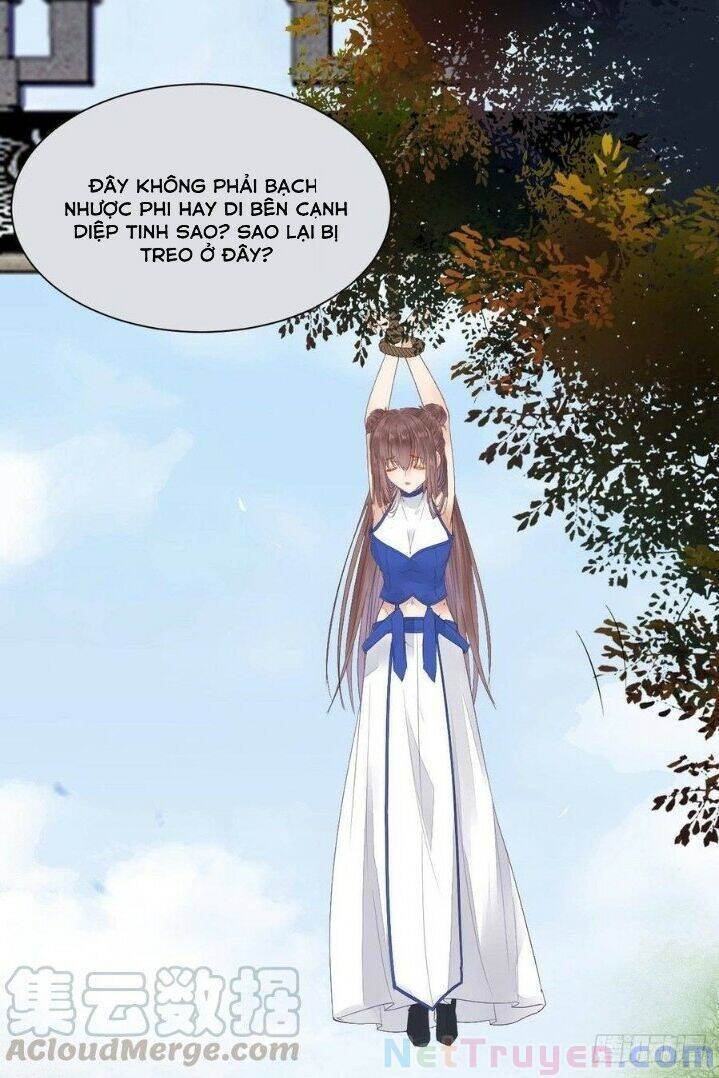 Tuyệt Sắc Quyến Rũ: Quỷ Y Chí Tôn Chap 263 - Next Chap 264