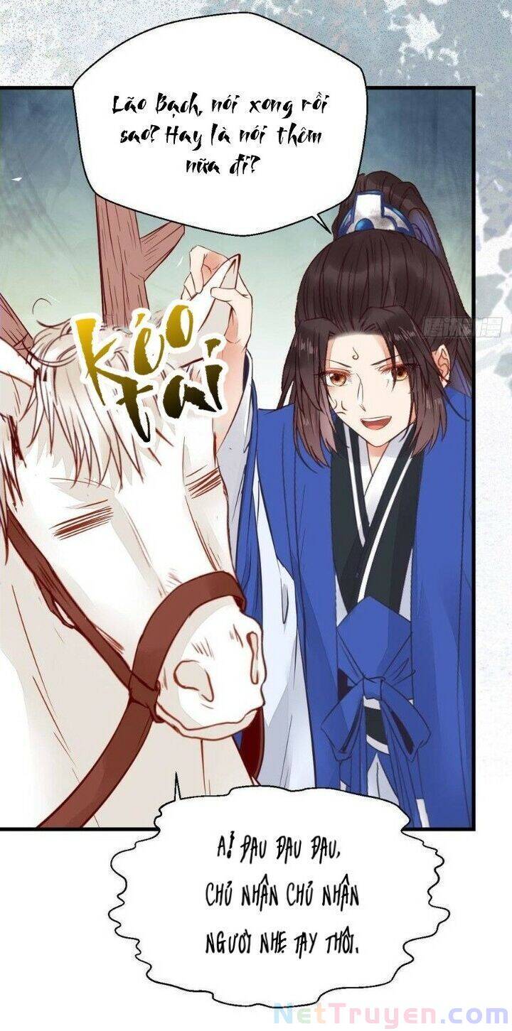 Tuyệt Sắc Quyến Rũ: Quỷ Y Chí Tôn Chap 263 - Next Chap 264