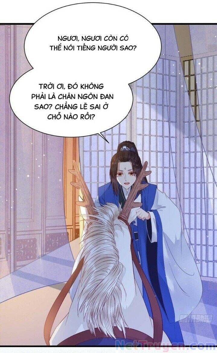 Tuyệt Sắc Quyến Rũ: Quỷ Y Chí Tôn Chap 263 - Next Chap 264