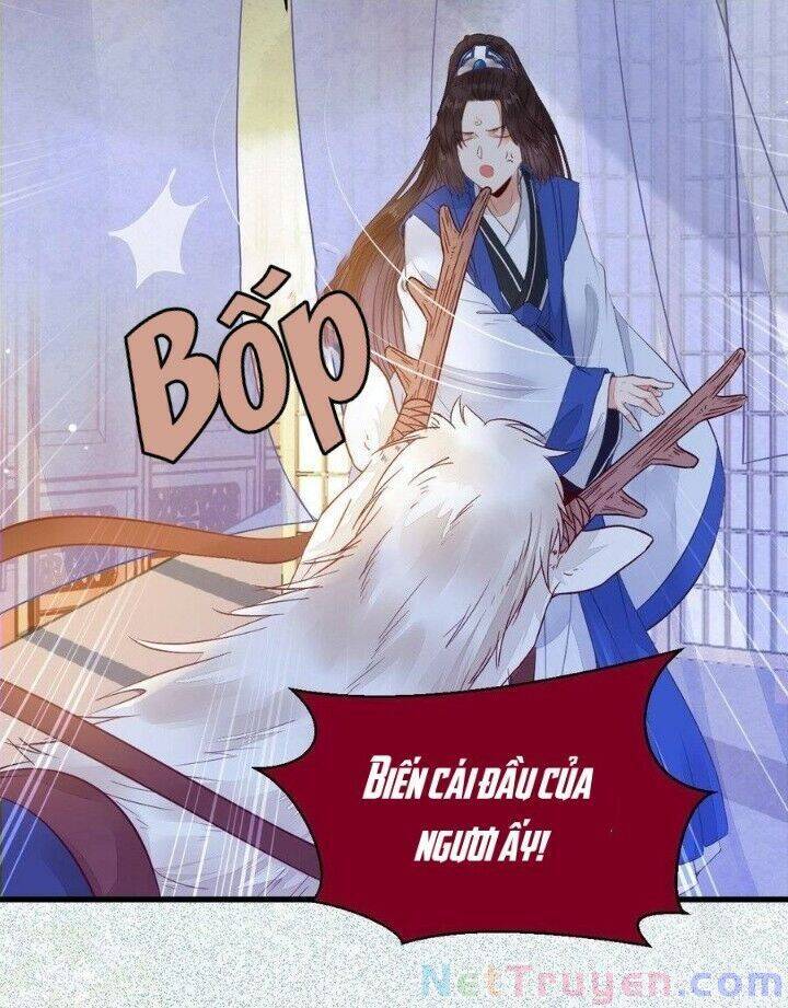 Tuyệt Sắc Quyến Rũ: Quỷ Y Chí Tôn Chap 263 - Next Chap 264