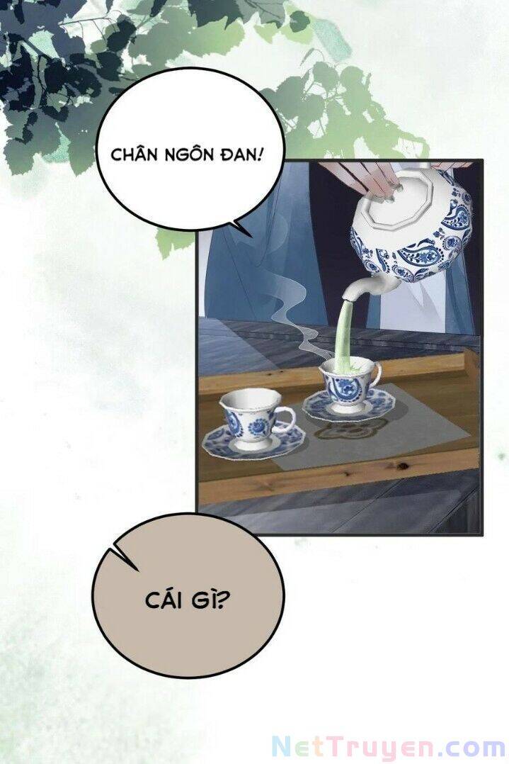 Tuyệt Sắc Quyến Rũ: Quỷ Y Chí Tôn Chap 264 - Next Chap 265