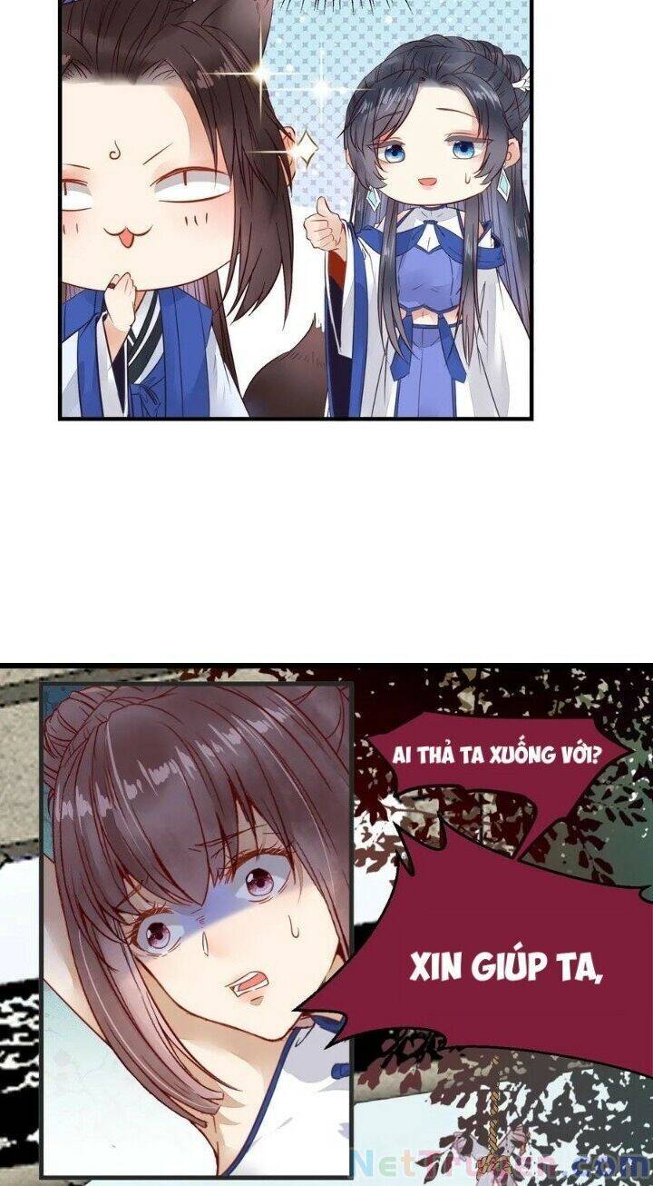 Tuyệt Sắc Quyến Rũ: Quỷ Y Chí Tôn Chap 264 - Next Chap 265