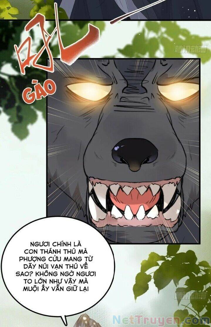 Tuyệt Sắc Quyến Rũ: Quỷ Y Chí Tôn Chap 265 - Next Chap 266