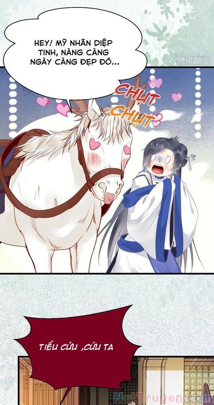 Tuyệt Sắc Quyến Rũ: Quỷ Y Chí Tôn Chap 265 - Next Chap 266