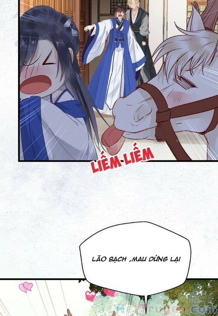 Tuyệt Sắc Quyến Rũ: Quỷ Y Chí Tôn Chap 265 - Next Chap 266