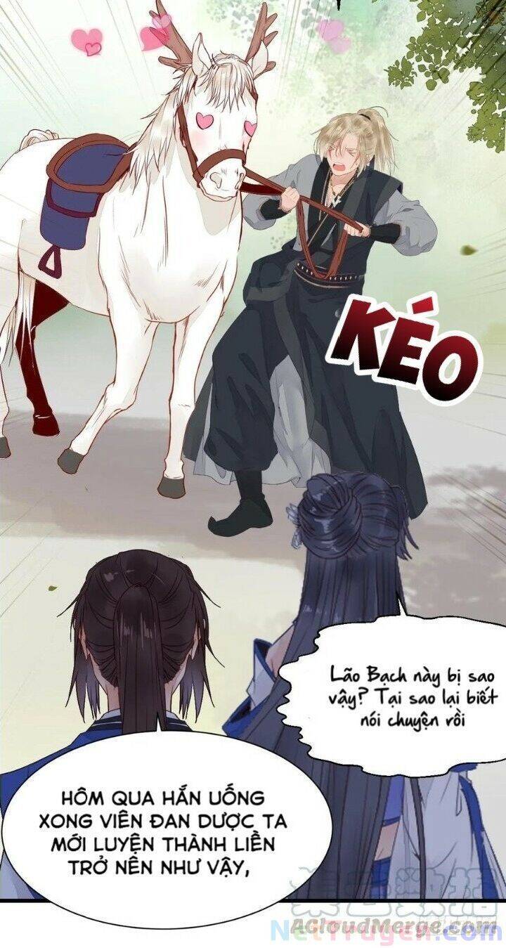 Tuyệt Sắc Quyến Rũ: Quỷ Y Chí Tôn Chap 265 - Next Chap 266