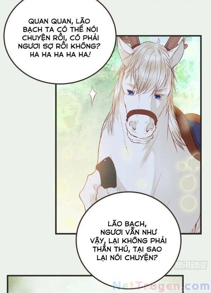 Tuyệt Sắc Quyến Rũ: Quỷ Y Chí Tôn Chap 265 - Next Chap 266