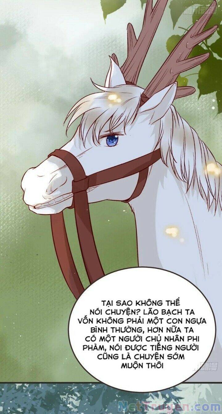 Tuyệt Sắc Quyến Rũ: Quỷ Y Chí Tôn Chap 265 - Next Chap 266