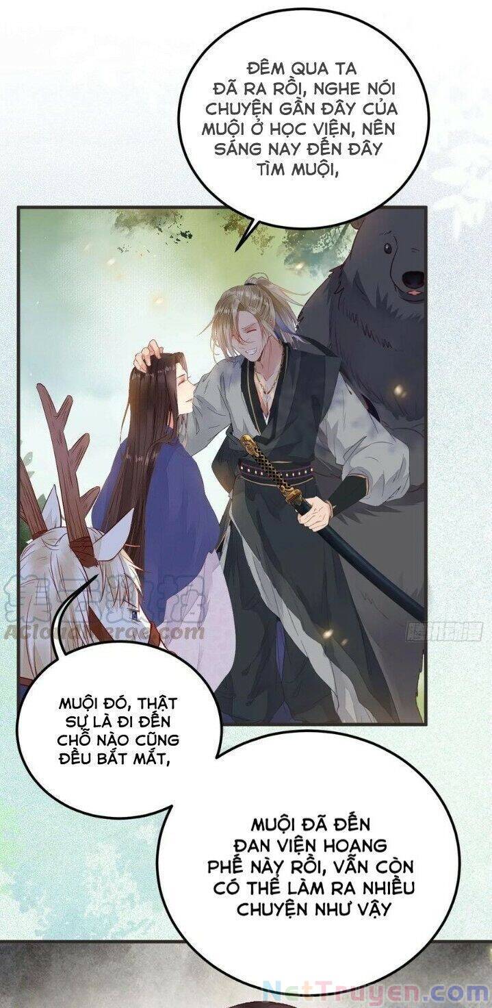 Tuyệt Sắc Quyến Rũ: Quỷ Y Chí Tôn Chap 265 - Next Chap 266