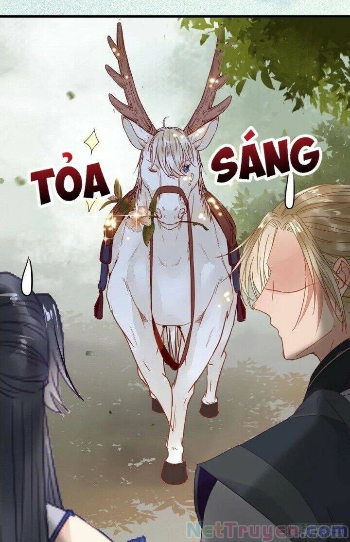 Tuyệt Sắc Quyến Rũ: Quỷ Y Chí Tôn Chap 266 - Next Chap 267