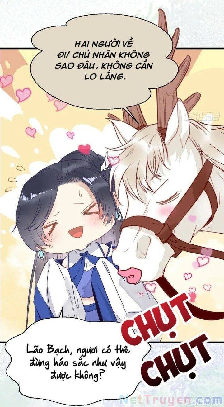 Tuyệt Sắc Quyến Rũ: Quỷ Y Chí Tôn Chap 266 - Next Chap 267