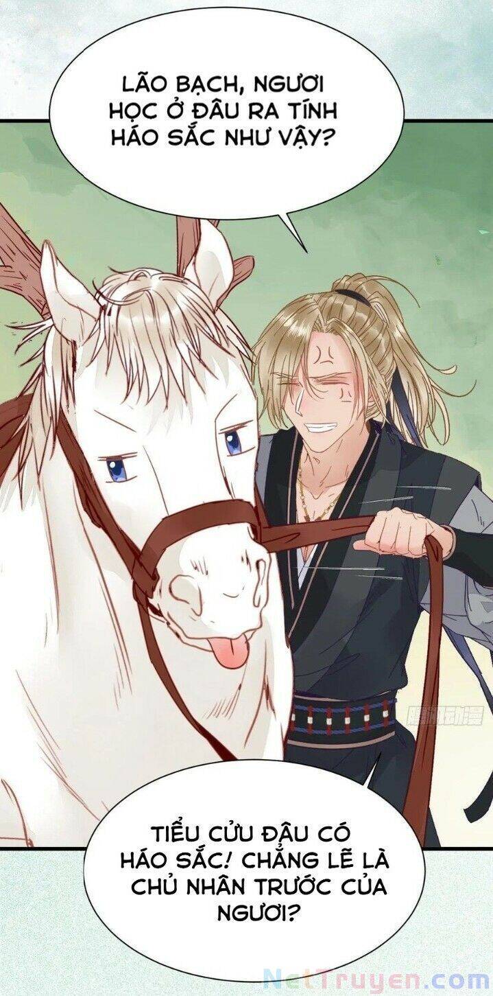 Tuyệt Sắc Quyến Rũ: Quỷ Y Chí Tôn Chap 267 - Next Chap 268