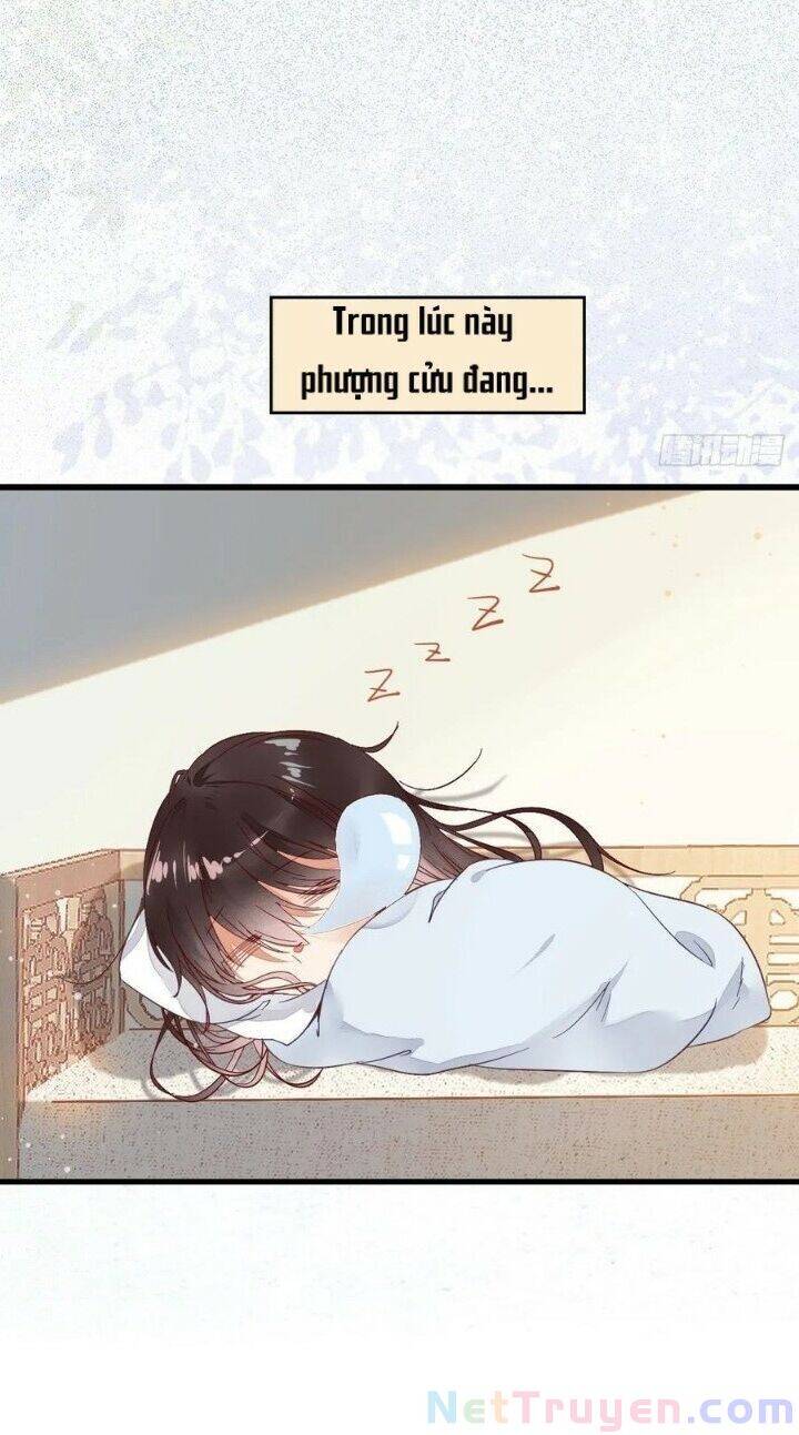 Tuyệt Sắc Quyến Rũ: Quỷ Y Chí Tôn Chap 267 - Next Chap 268