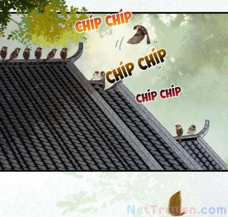 Tuyệt Sắc Quyến Rũ: Quỷ Y Chí Tôn Chap 267 - Next Chap 268