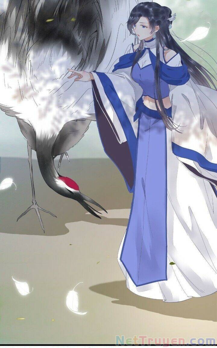 Tuyệt Sắc Quyến Rũ: Quỷ Y Chí Tôn Chap 268 - Next Chap 269